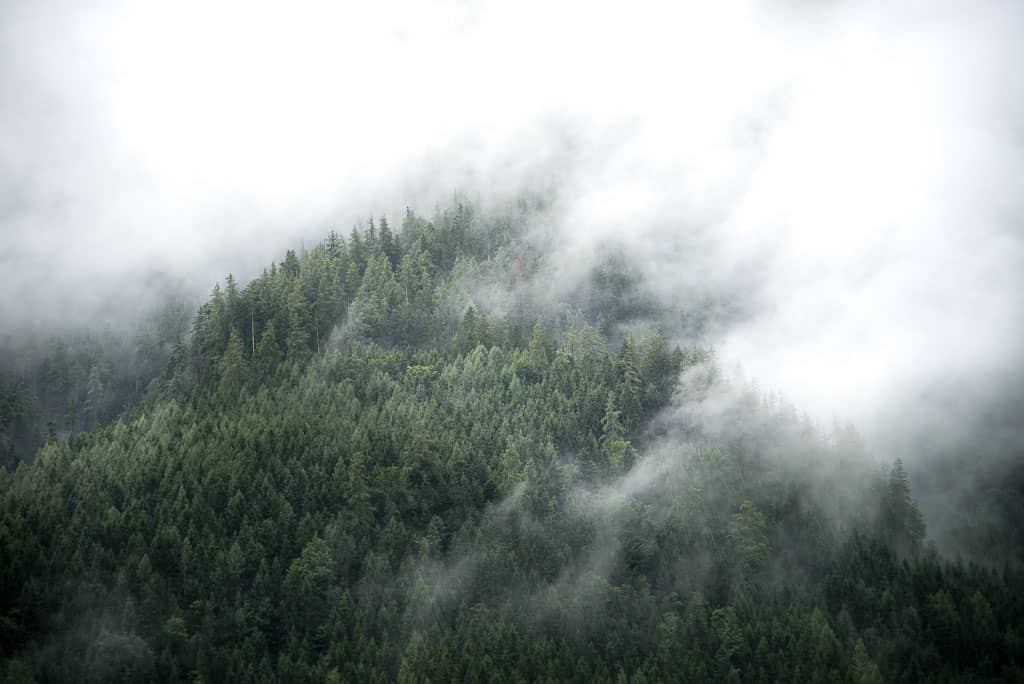 aug.unsplash-3-of-22
